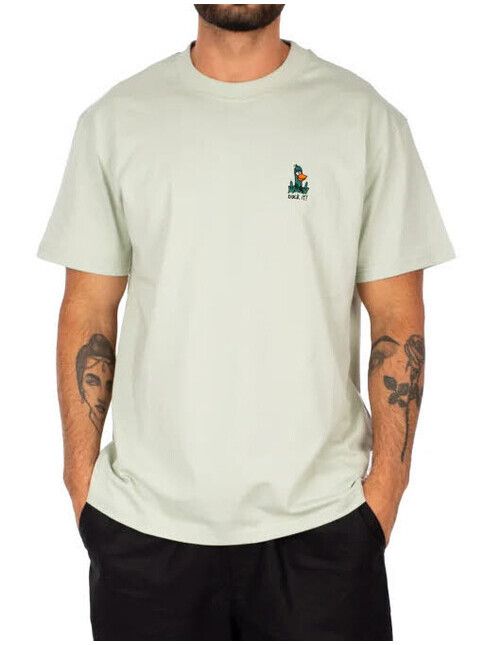 iriedaily T-Shirt What The Duck Tee light sage