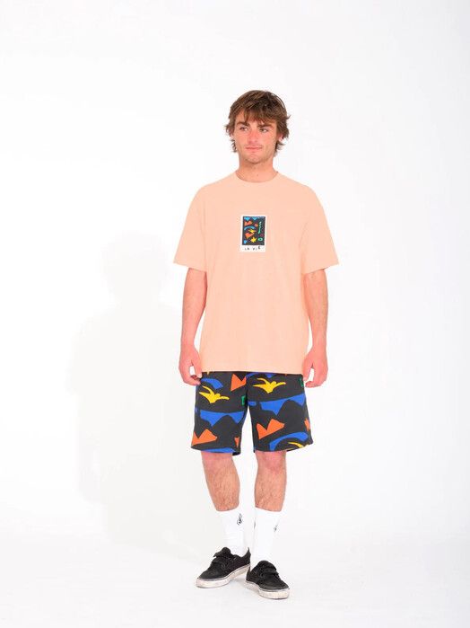 Volcom T-Shirt&#x20;Arthur&#x20;Longo&#x20;3&#x20;salmon