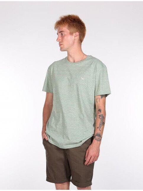 iriedaily T-Shirt Chamisso Tee mintgrey