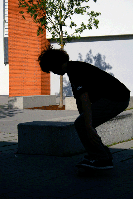 Switch-Tailslide-270-out-in-Whyl.gif